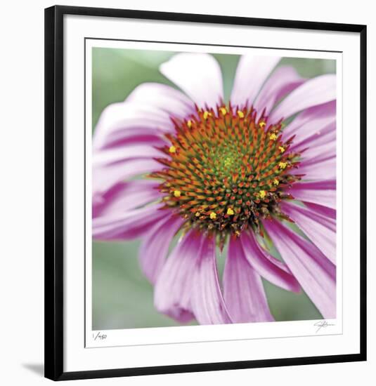 Aster-Ken Bremer-Framed Limited Edition