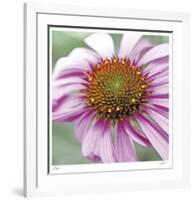 Aster-Ken Bremer-Framed Limited Edition