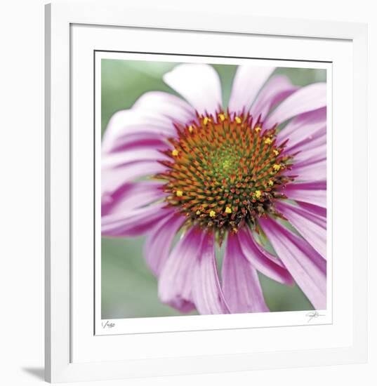 Aster-Ken Bremer-Framed Limited Edition