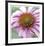 Aster-Ken Bremer-Framed Limited Edition