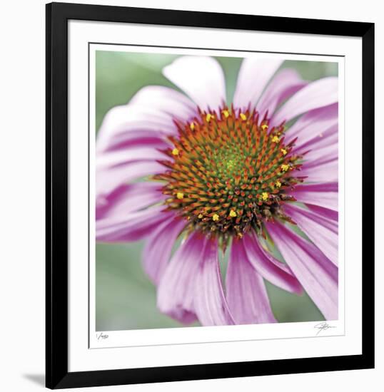 Aster-Ken Bremer-Framed Limited Edition