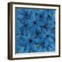 Aster-li bo-Framed Giclee Print