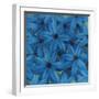 Aster-li bo-Framed Giclee Print