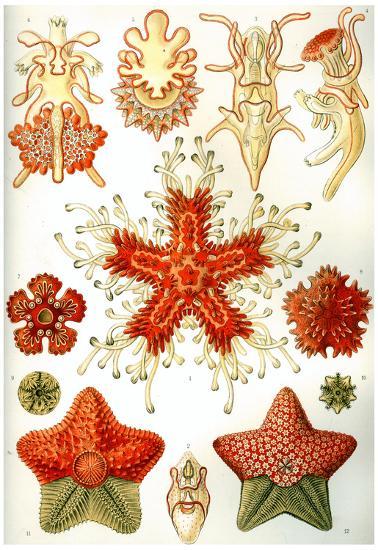 Poster, , large