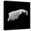 Asteroid 243 Ida-Stocktrek Images-Stretched Canvas