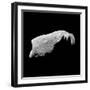 Asteroid 243 Ida-Stocktrek Images-Framed Premium Photographic Print