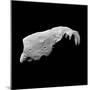 Asteroid 243 Ida-Stocktrek Images-Mounted Premium Photographic Print