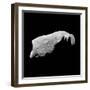 Asteroid 243 Ida-Stocktrek Images-Framed Photographic Print
