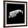 Asteroid 243 Ida-Stocktrek Images-Framed Photographic Print