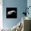 Asteroid 243 Ida-Stocktrek Images-Mounted Photographic Print displayed on a wall