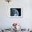 Asteroid Approaching Earth, Artwork-null-Framed Photographic Print displayed on a wall