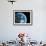 Asteroid Approaching Earth, Artwork-null-Framed Photographic Print displayed on a wall