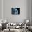 Asteroid Approaching Earth, Artwork-null-Framed Stretched Canvas displayed on a wall