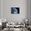 Asteroid Approaching Earth, Artwork-null-Stretched Canvas displayed on a wall