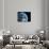 Asteroid Approaching Earth, Artwork-null-Photographic Print displayed on a wall