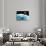 Asteroid Approaching Earth, Artwork-null-Photographic Print displayed on a wall