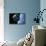 Asteroid Approaching Earth-null-Framed Photographic Print displayed on a wall