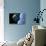 Asteroid Approaching Earth-null-Stretched Canvas displayed on a wall