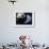 Asteroid Approaching Earth-null-Framed Photographic Print displayed on a wall