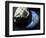 Asteroid Approaching Earth-null-Framed Photographic Print