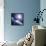 Asteroid Approaching Earth-null-Framed Stretched Canvas displayed on a wall