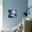 Asteroid Approaching Earth-null-Mounted Photographic Print displayed on a wall