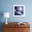 Asteroid Approaching Earth-null-Framed Photographic Print displayed on a wall