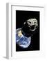 Asteroid Approaching Earth-null-Framed Premium Photographic Print