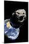 Asteroid Approaching Earth-null-Mounted Photographic Print