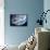 Asteroid Approaching Earth-null-Framed Photographic Print displayed on a wall