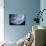 Asteroid Approaching Earth-null-Mounted Photographic Print displayed on a wall