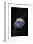 Asteroid, Artwork-null-Framed Premium Photographic Print