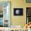 Asteroid Ceres, Artwork-Chris Butler-Framed Stretched Canvas displayed on a wall