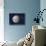 Asteroid Ceres, Artwork-Chris Butler-Stretched Canvas displayed on a wall