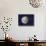 Asteroid Ceres, Artwork-Chris Butler-Stretched Canvas displayed on a wall