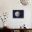 Asteroid Ceres, Artwork-Chris Butler-Mounted Photographic Print displayed on a wall