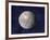 Asteroid Ceres, Artwork-Chris Butler-Framed Photographic Print