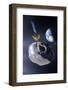 Asteroid Deflection Mission-null-Framed Premium Photographic Print