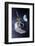 Asteroid Deflection Mission-null-Framed Premium Photographic Print