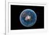 Asteroid Impact, Artwork-null-Framed Photographic Print