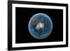 Asteroid Impact, Artwork-null-Framed Photographic Print