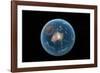 Asteroid Impact, Artwork-null-Framed Photographic Print