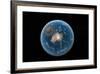 Asteroid Impact, Artwork-null-Framed Photographic Print