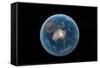 Asteroid Impact, Artwork-null-Framed Stretched Canvas