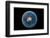 Asteroid Impact, Artwork-null-Framed Photographic Print