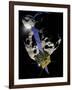 Asteroid Impact Mission-null-Framed Photographic Print