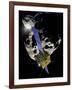 Asteroid Impact Mission-null-Framed Photographic Print