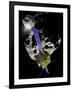 Asteroid Impact Mission-null-Framed Photographic Print