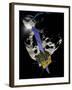 Asteroid Impact Mission-null-Framed Photographic Print