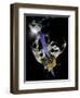 Asteroid Impact Mission-null-Framed Premium Photographic Print